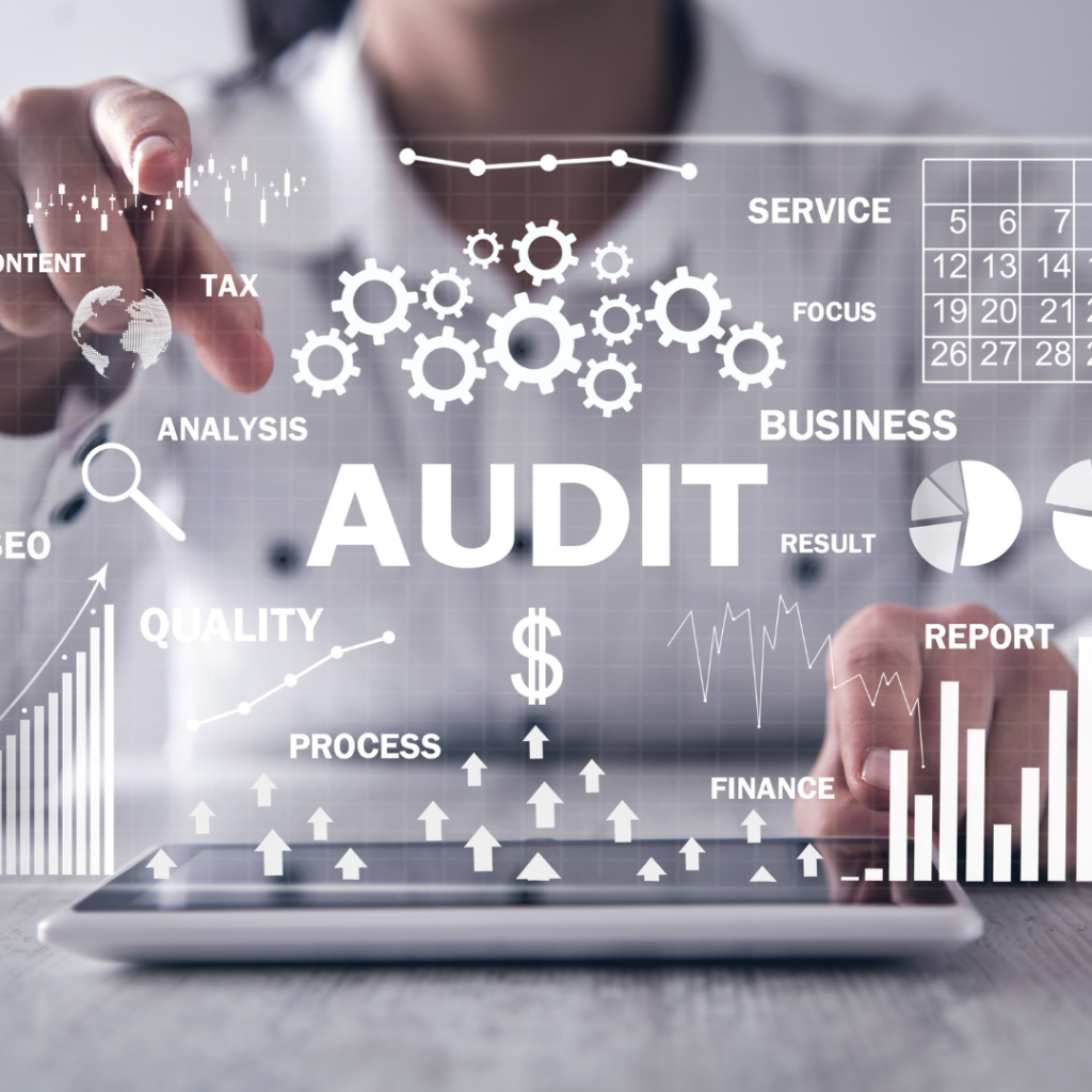 IT Professionals Audit Expert